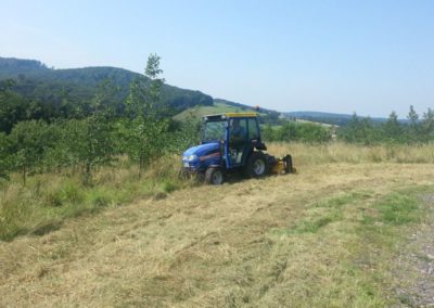 Kommunale Dienstleistungen Garten- und Landschaftsbau Winnen