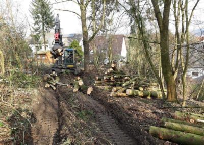 Baumarbeiten Garten und Landschaftsbau Winnen