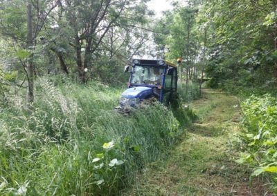 Kommunale Dienstleistungen Garten- und Landschaftsbau Winnen