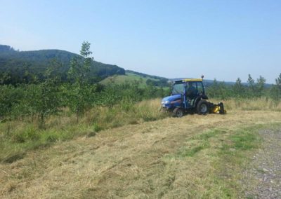 Kommunale Dienstleistungen Garten- und Landschaftsbau Winnen