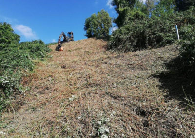 Kommunale Dienstleistungen Garten- und Landschaftsbau Winnen