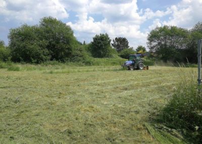 Kommunale Dienstleistungen Garten- und Landschaftsbau Winnen