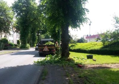 Kommunale Dienstleistungen Garten- und Landschaftsbau Winnen