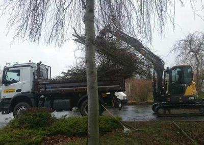 Kommunale Dienstleistungen Garten- und Landschaftsbau Winnen