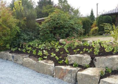 Pflanzung Garten und Landschaftsbau Winnen