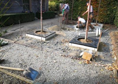 Pflanzung Garten und Landschaftsbau Winnen