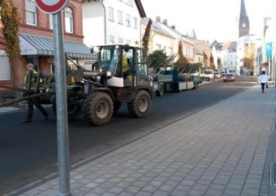 Pflanzung Garten und Landschaftsbau Winnen